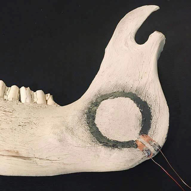 graphite circle on animal jawbone with copper wires