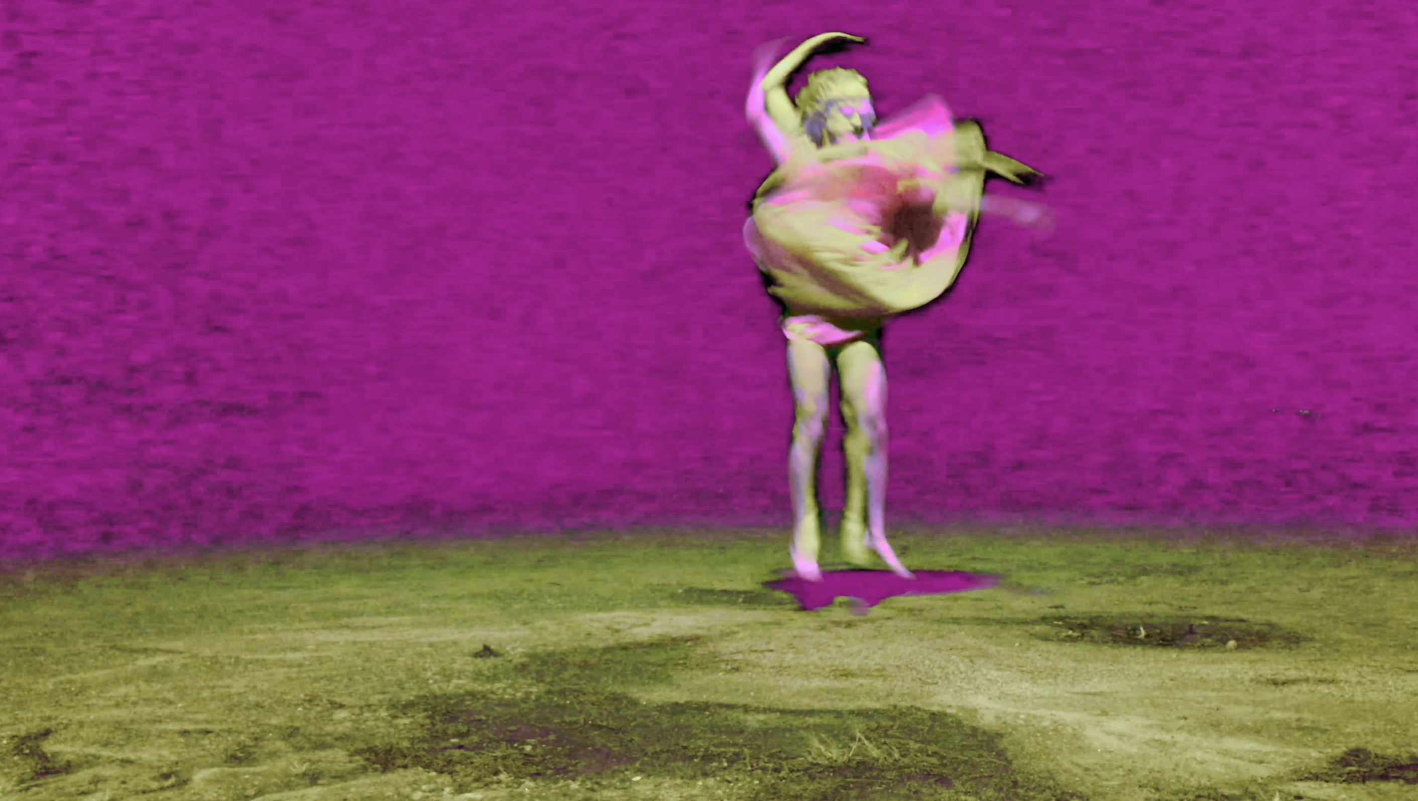 Photograph of Pepper dancing